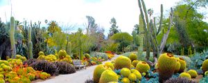 Preview wallpaper botanical garden, san marino, california, usa, garden, cactus
