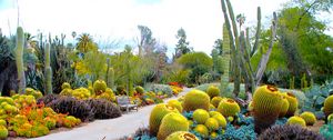 Preview wallpaper botanical garden, san marino, california, usa, garden, cactus