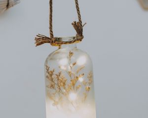 Preview wallpaper bottle, branch, garland, decoration
