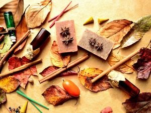 Preview wallpaper bottles, leaves, berries, cinnamon, barberry