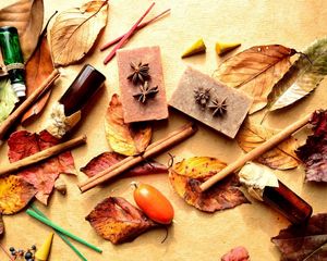 Preview wallpaper bottles, leaves, berries, cinnamon, barberry