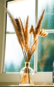 Preview wallpaper bottles, window, dried flowers, glass, bouquet, light, aesthetics