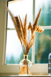 Preview wallpaper bottles, window, dried flowers, glass, bouquet, light, aesthetics