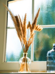 Preview wallpaper bottles, window, dried flowers, glass, bouquet, light, aesthetics