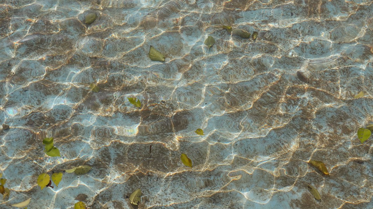 Wallpaper bottom, glare, sea, water, leaves