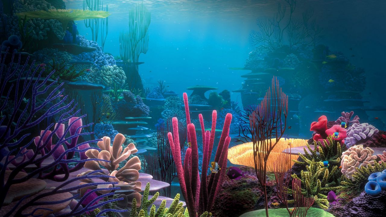 Wallpaper bottom, ocean, corals, multi-colored, under water, world