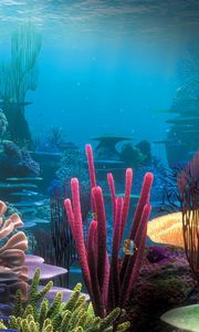 Preview wallpaper bottom, ocean, corals, multi-colored, under water, world
