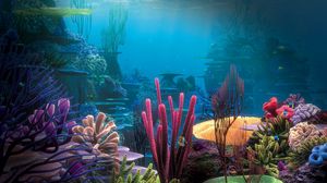 Preview wallpaper bottom, ocean, corals, multi-colored, under water, world