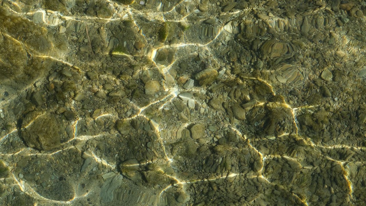 Wallpaper bottom, underwater, water, stones, glare