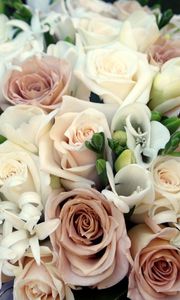 Preview wallpaper bouquet, arrangement, rose, freesia, flowers