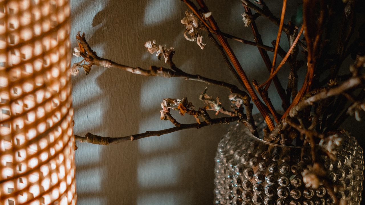 Wallpaper bouquet, branches, vase, decor, aesthetics