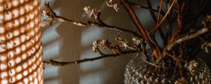 Preview wallpaper bouquet, branches, vase, decor, aesthetics