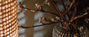 Preview wallpaper bouquet, branches, vase, decor, aesthetics