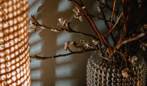 Preview wallpaper bouquet, branches, vase, decor, aesthetics