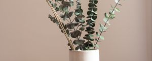 Preview wallpaper bouquet, branches, vase, aesthetics, decor