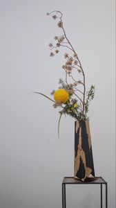 Preview wallpaper bouquet, branches, vase, composition, decor