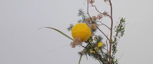 Preview wallpaper bouquet, branches, vase, composition, decor