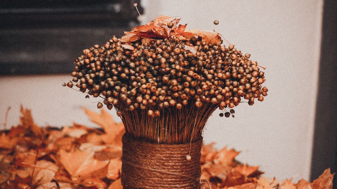 Wallpaper bouquet, bunch, dry, foliage, autumn