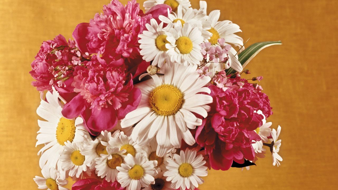 Wallpaper bouquet, camomiles, peonies, vase