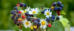 Preview wallpaper bouquet, chamomile, flowers, berries, summer, aesthetics