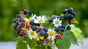 Preview wallpaper bouquet, chamomile, flowers, berries, summer, aesthetics