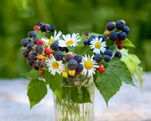 Preview wallpaper bouquet, chamomile, flowers, berries, summer, aesthetics