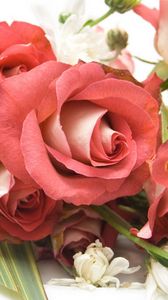 Preview wallpaper bouquet, composition, beautiful, roses, flowers