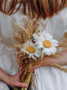 Preview wallpaper bouquet, daisies, wildflowers, hands