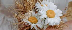 Preview wallpaper bouquet, daisies, wildflowers, hands