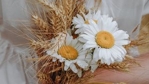 Preview wallpaper bouquet, daisies, wildflowers, hands