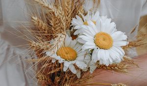 Preview wallpaper bouquet, daisies, wildflowers, hands