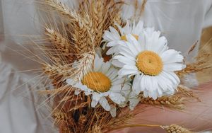 Preview wallpaper bouquet, daisies, wildflowers, hands