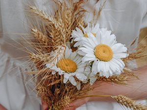 Preview wallpaper bouquet, daisies, wildflowers, hands