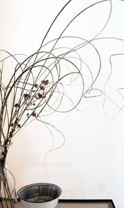 Preview wallpaper bouquet, decor, minimalism, white