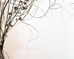 Preview wallpaper bouquet, decor, minimalism, white