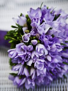 Preview wallpaper bouquet, flower, purple