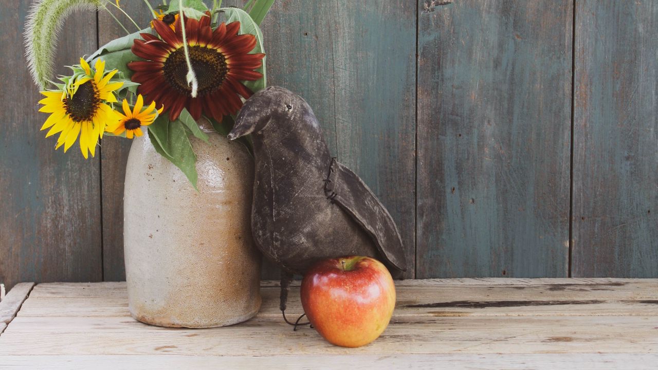 Wallpaper bouquet, flowers, bird, apple, decor, still life