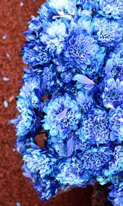 Preview wallpaper bouquet, flowers, blue, petals, bloom