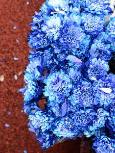 Preview wallpaper bouquet, flowers, blue, petals, bloom