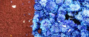 Preview wallpaper bouquet, flowers, blue, petals, bloom