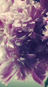 Preview wallpaper bouquet, flowers, bright, soft, pink, shadow