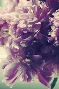 Preview wallpaper bouquet, flowers, bright, soft, pink, shadow