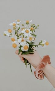 Preview wallpaper bouquet, flowers, hand, white