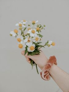 Preview wallpaper bouquet, flowers, hand, white