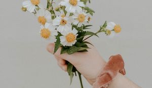 Preview wallpaper bouquet, flowers, hand, white