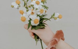 Preview wallpaper bouquet, flowers, hand, white