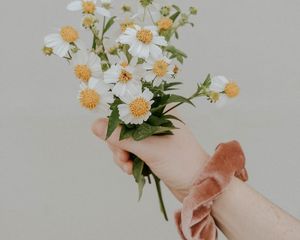 Preview wallpaper bouquet, flowers, hand, white