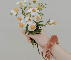 Preview wallpaper bouquet, flowers, hand, white