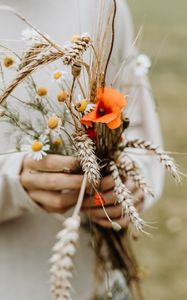 Preview wallpaper bouquet, flowers, spikelets, poppy, daisies