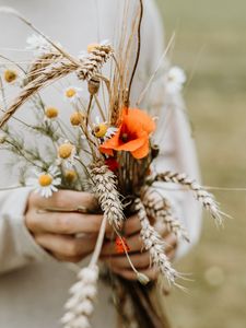 Preview wallpaper bouquet, flowers, spikelets, poppy, daisies